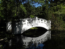 白,水,橋