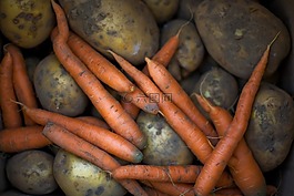 根,食品,成長