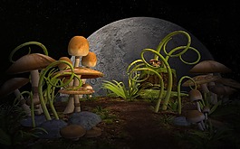 植物,蘑菇,花园