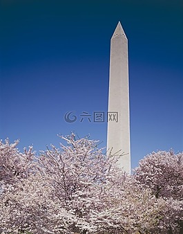 華盛頓紀(jì)念碑,總統(tǒng),紀(jì)念館