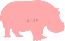 河馬,動物,哺乳動物