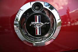 福特野馬,福特徽標(biāo),車(chē)