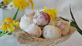 大蒜,中國大蒜,廚房