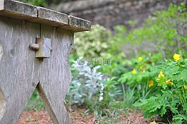 張木凳,座位,花園
