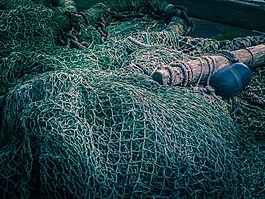 網(wǎng)絡,海,捕魚