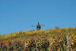 小教堂,葡萄園,尖頂