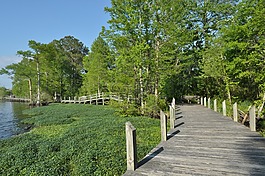 行人橋,木材,路徑