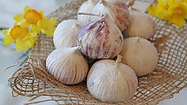 大蒜,中國大蒜,廚房
