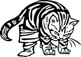 貓咪,憤怒,貓的