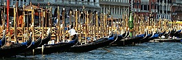 人體內(nèi)的水,旅行,城市