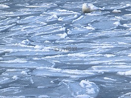 冬天,冷,雪