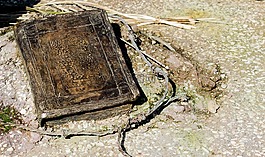德國,柏林,體系結(jié)構(gòu)