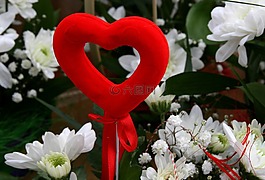 心臟,花卉,紅色