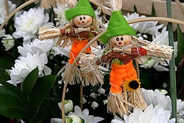 稻草人,夫婦,花卉