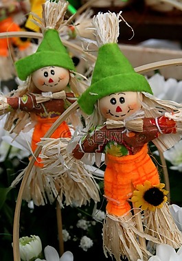 稻草人,夫婦,花卉