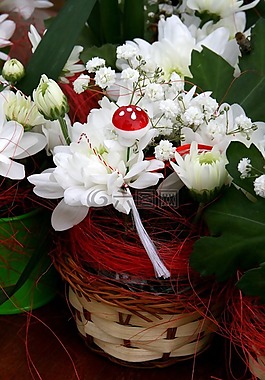 花卉,蘑菇,白