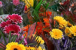 鮮花,著色,花束