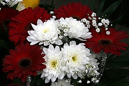 鲜花,着色,花束