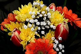 鮮花,著色,花束