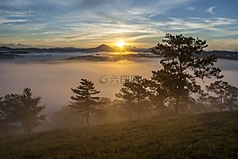 風景,黎明,攝影