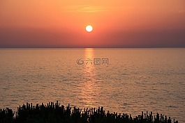 海,地平線,太陽