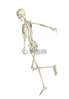 骨架,weis,秋天
