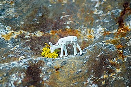 野生動(dòng)物,獐鹿,赫爾
