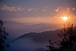 霧,景觀,日出