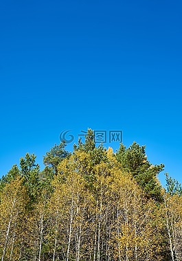 秋,季節(jié),景觀
