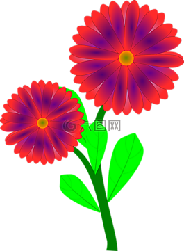 花,盛開,開花
