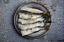 沙丁鱼,食品,鱼