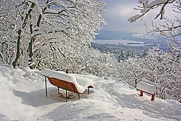 雪,冬天,冷