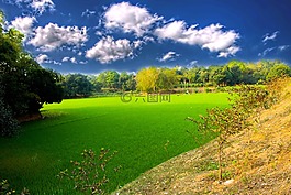 自然,綠色,天空