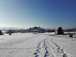 冬天,雪,景觀