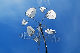 windspiel,溫哥華,加拿大