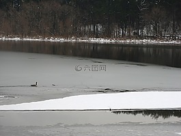 湖,自然,景觀
