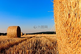 稻草包,殘株,農(nóng)業(yè)