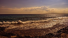 海岸,海灘,波