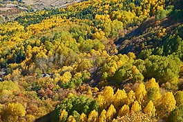秋,季節(jié),景觀