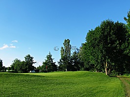 字段,草甸,綠色