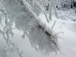 winterimpression,冬天,冰