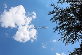 天空,藍色,云