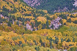 秋,季節(jié),景觀