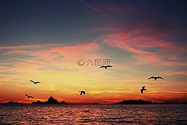 日落,海,太陽