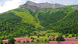 冬奥会,斯洛伐克上塔特拉山,斯洛伐克
