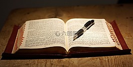 圣經(jīng) 》,本書,讀