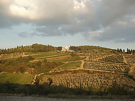 意大利,農(nóng)村,國家