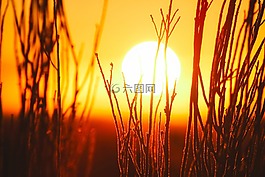 日落,黃昏,太陽(yáng)