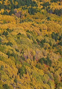 秋,季節(jié),景觀
