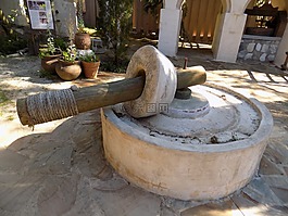 石油新闻,橄榄油,橄榄